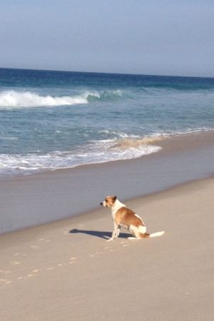 Vitória, na praia.