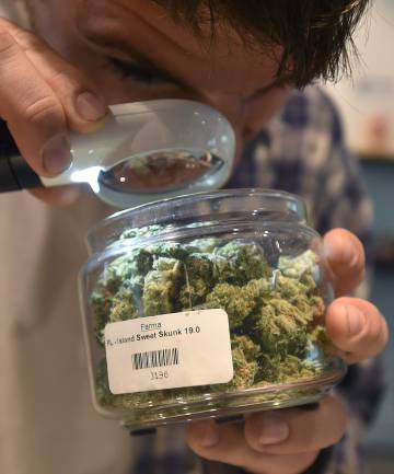 Um homem examina a maconha numa loja do produto, em Portland, Oregon.