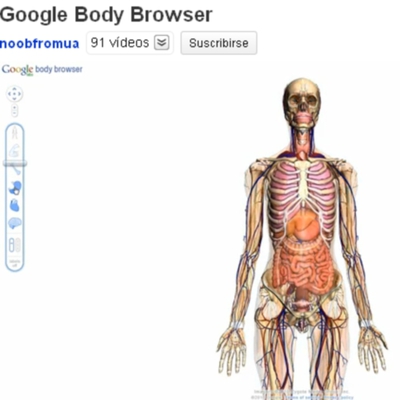 Mapa Del Cuerpo Humano En 3d Tecnología El País